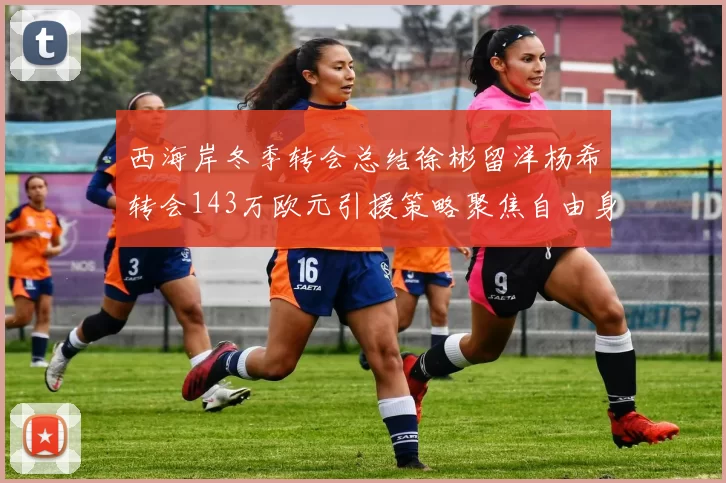 西海岸冬季转会总结徐彬留洋杨希转会143万欧元引援策略聚焦自由身球员