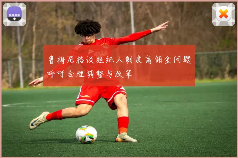 鲁梅尼格谈经纪人制度高佣金问题呼吁合理调整与改革
